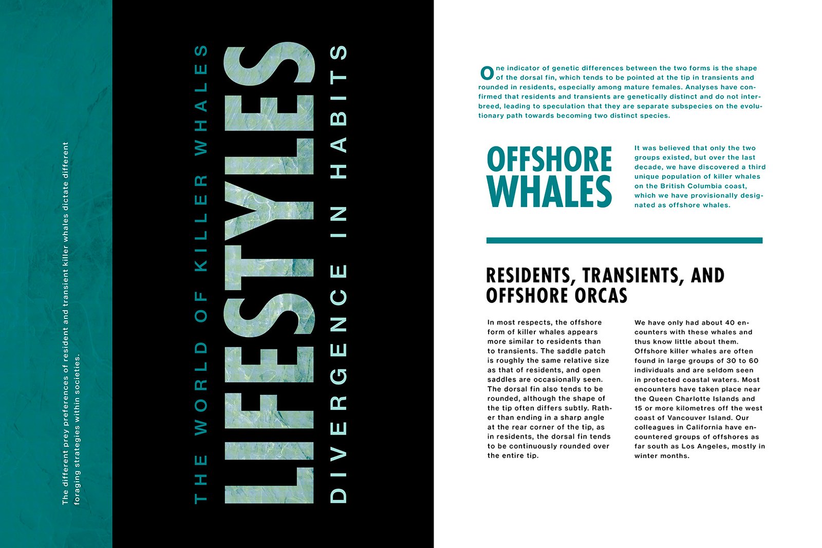 Killer whale editorial book