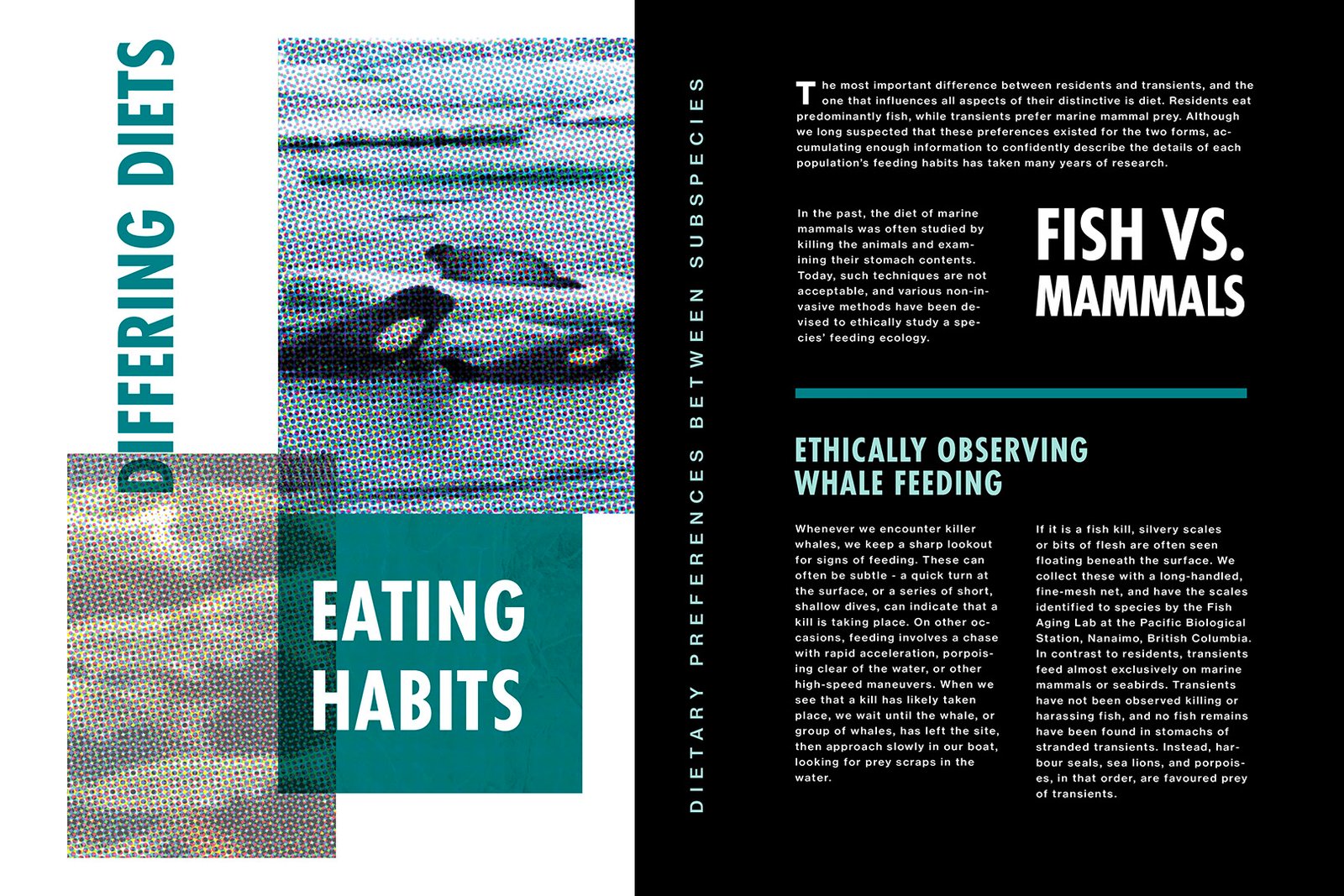 Killer whale editorial book