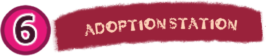 6 Adoption Station