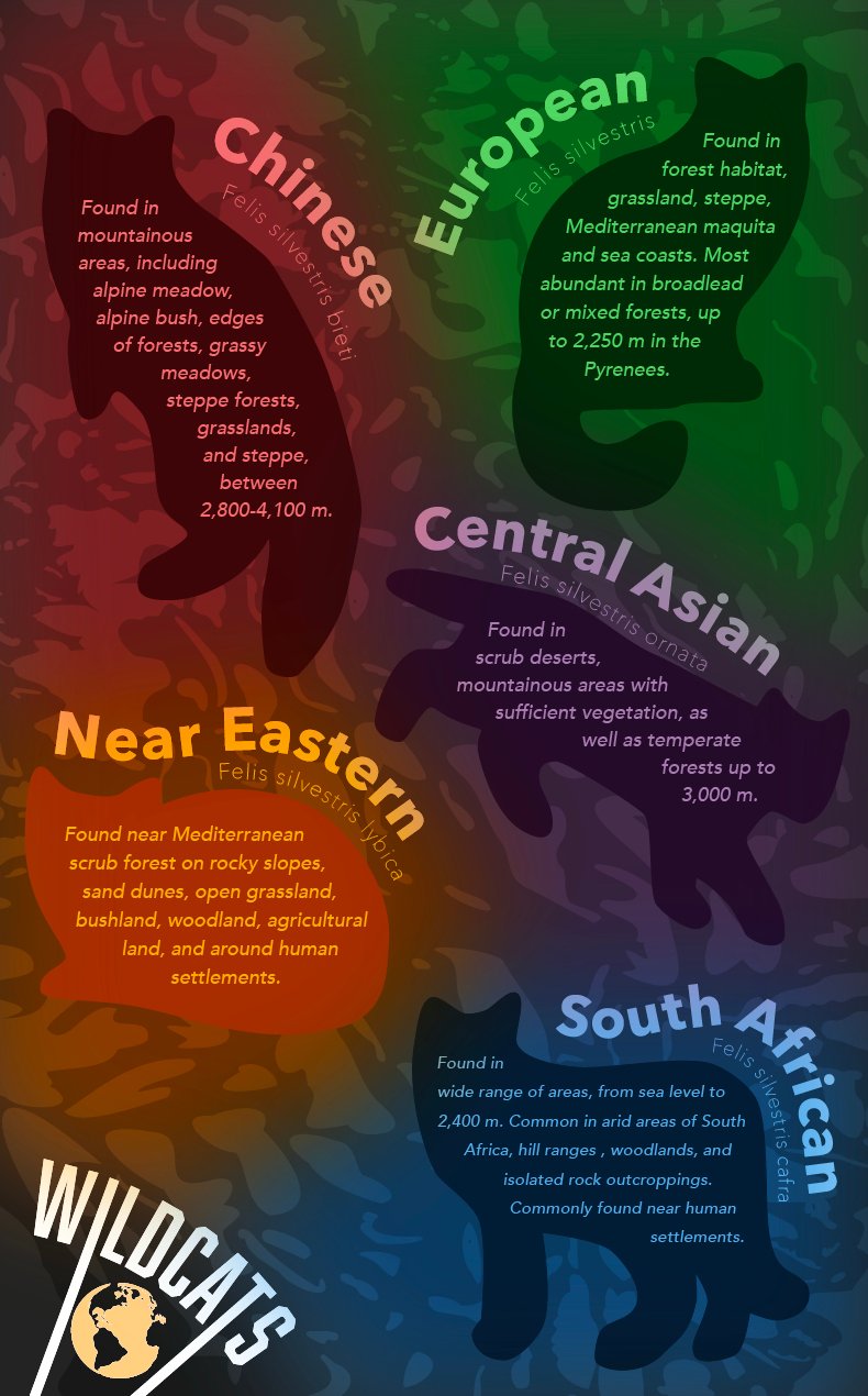 Wildcat infographic system poster